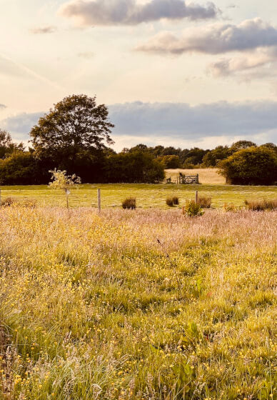 The Summer Reset — A Luxury Picnic & Paint Experience

Saturday 27th June | 2PM This is the Promise Farm